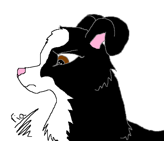 ria.PNG