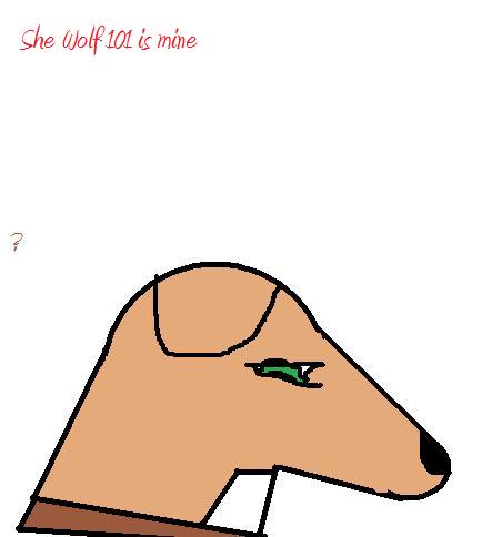 un.jpg