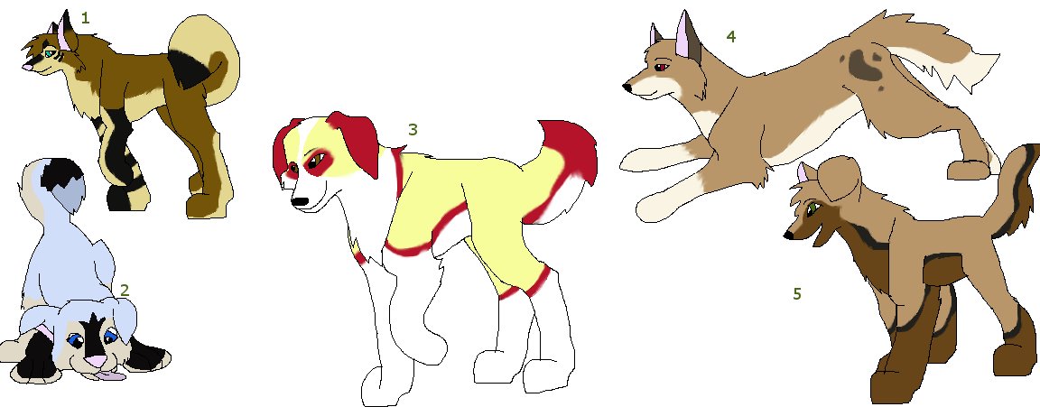 adopt.JPG