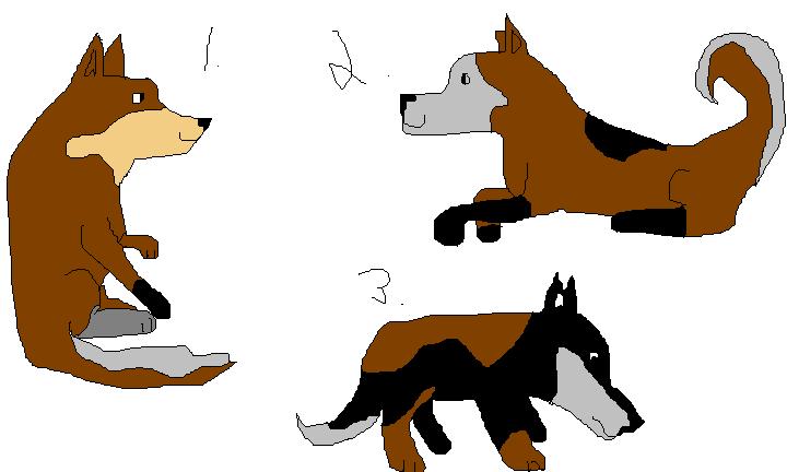 Batch 1.JPG