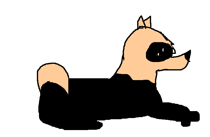 %shep.GIF