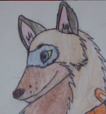 yyyy.PNG