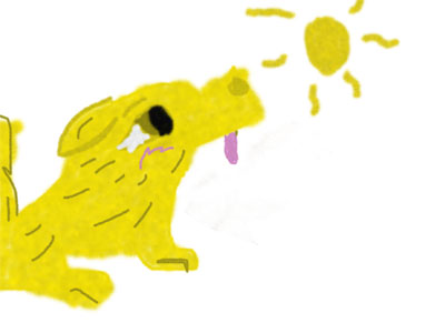 Sun-Beam.jpg