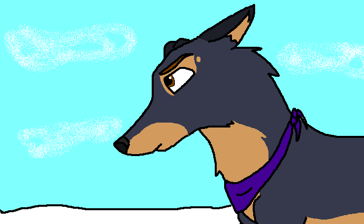 pico.PNG