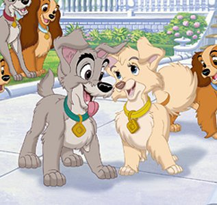 scamp and angel.jpg