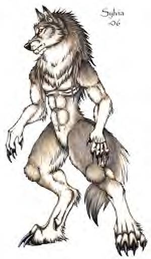 Cody.alphason.wolf.jpg