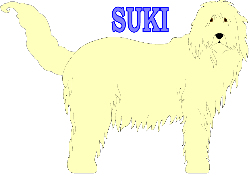 Suki 1.png
