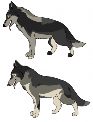 Timber's batch.PNG