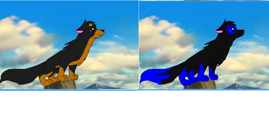 pretty%20pups2.PNG