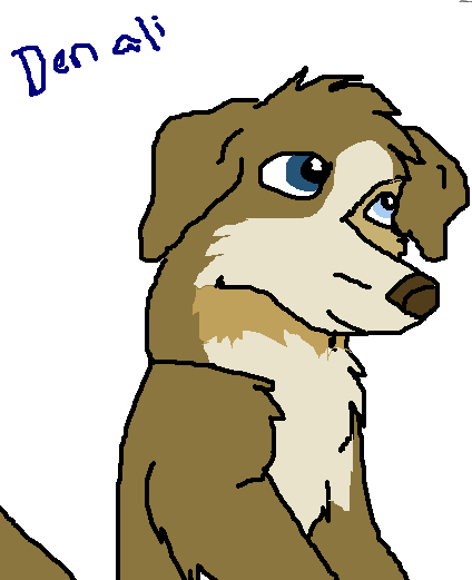 denali2.PNG