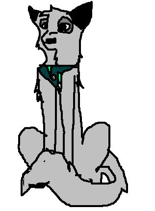 ayren.JPG