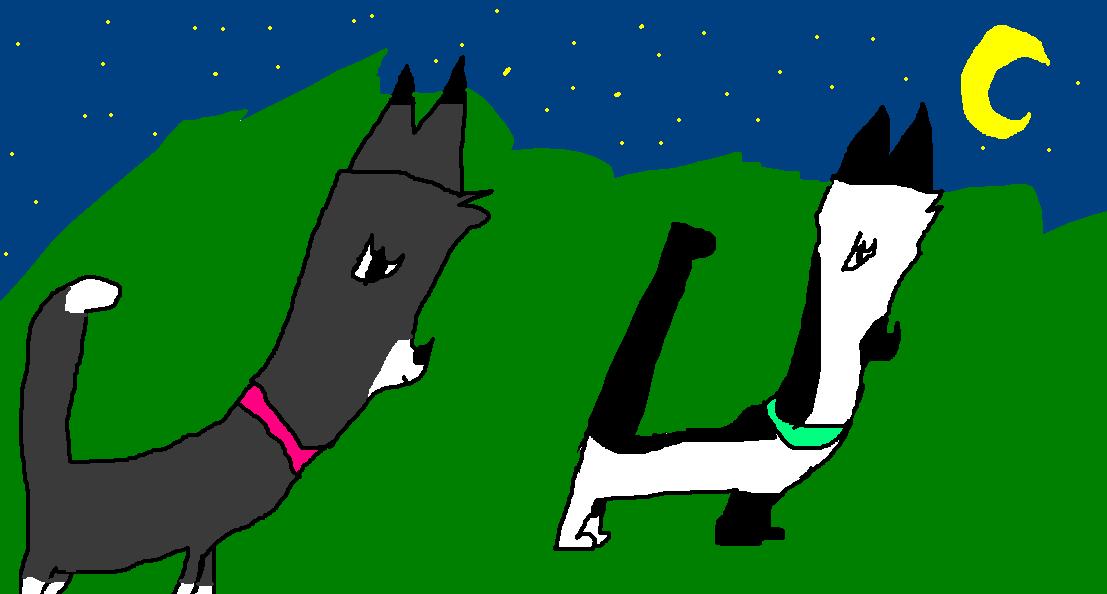 Roxy and oreo.JPG