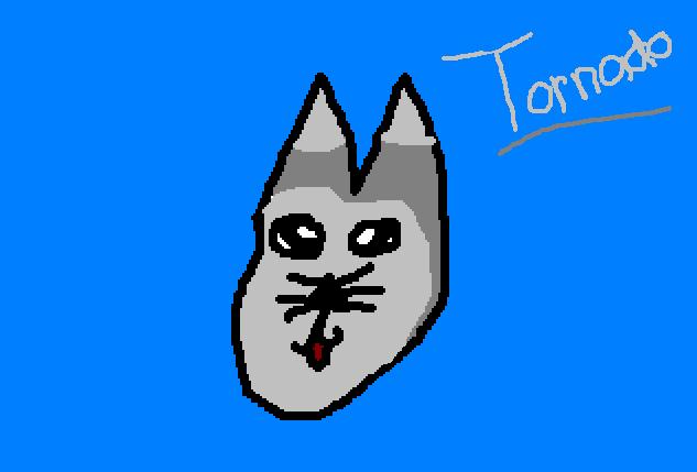 tornado.JPG