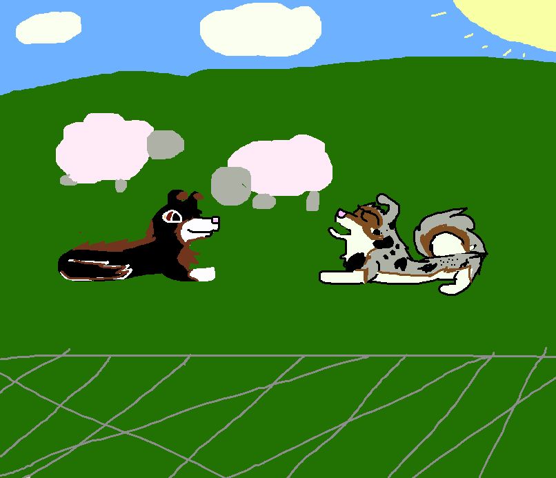 dogs in the medow.png