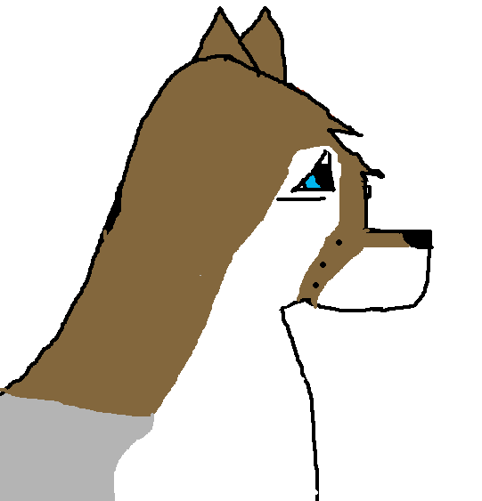 hdfkjxhgxjkldfgt.png