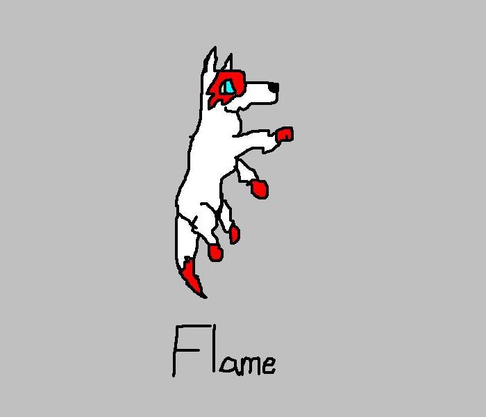 Flame.JPG