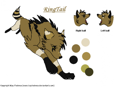 Beta RingTail.PNG