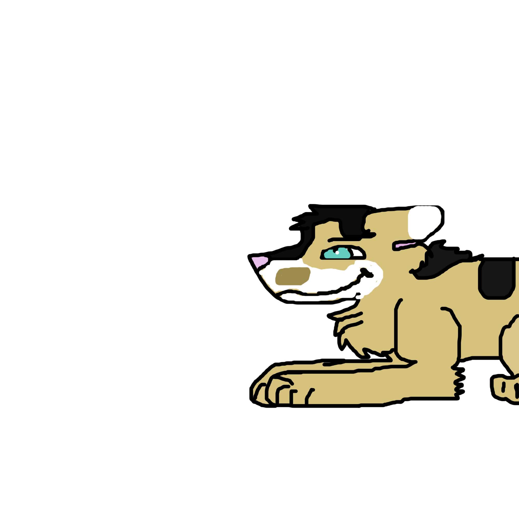 batch 5.jpg