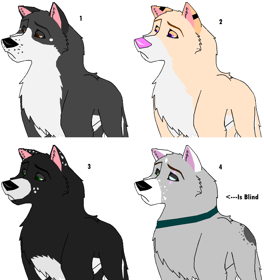 dfkjbv.PNG