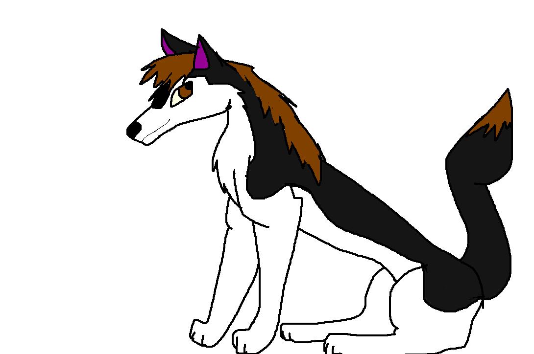mix breed doggy.JPG