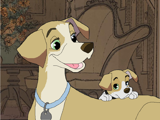 carterandrebeccarender.png