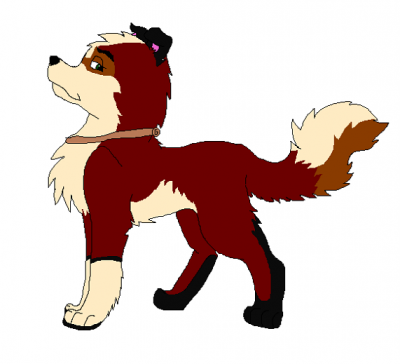 aln.png