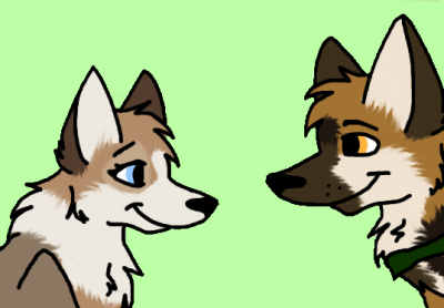 ddfff.png