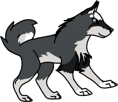 Kylee.png