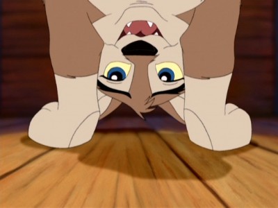 balto2_060.JPG.jpg