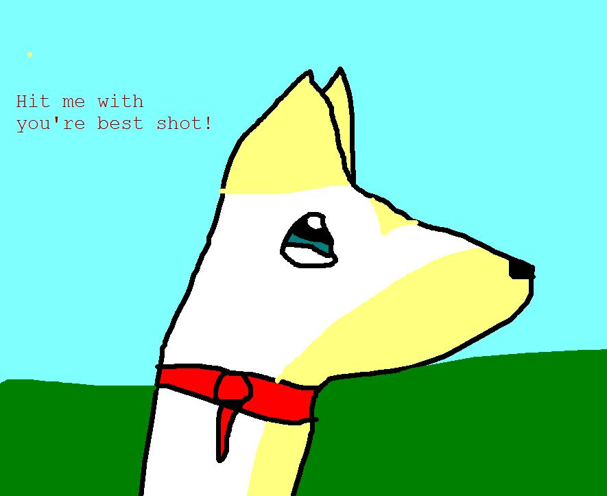 bad pic.JPG