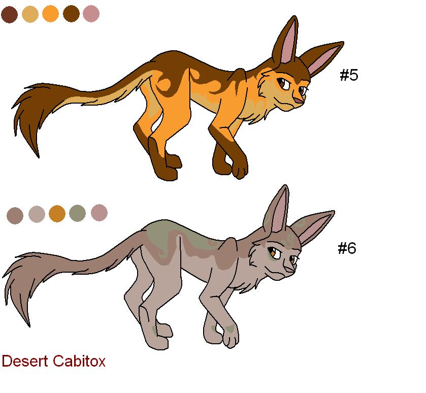 crissy's desert cabitox's.JPG