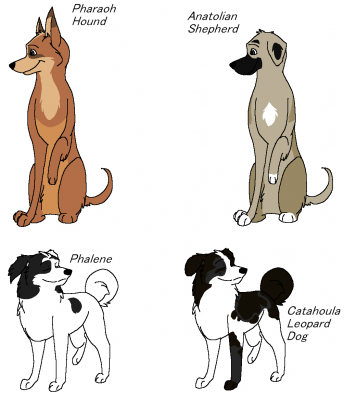 Diego pharaoh's batch.PNG