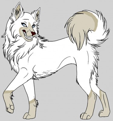 Kyra.JPG