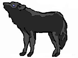looks.JPG
