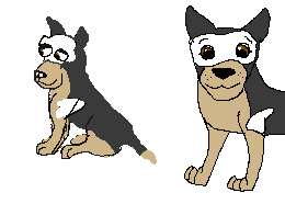pan.PNG