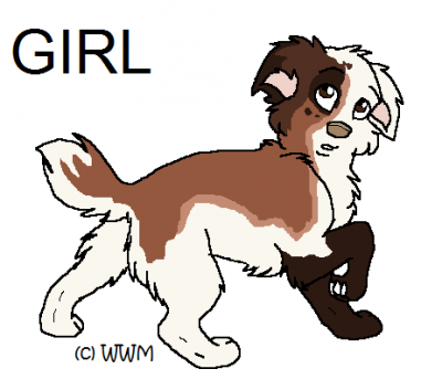 Brandi.png