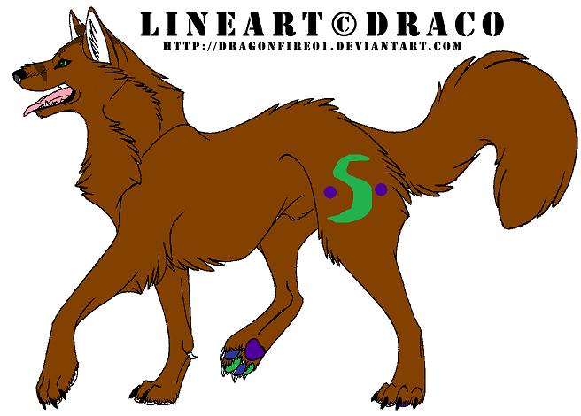 lil fox.jpg