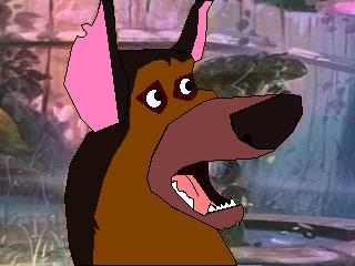 Kyle head pic.JPG