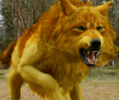 Jacob_Wolf_by_slapmeplz.png