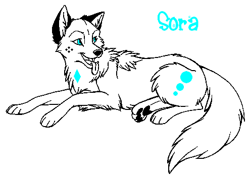 SORA.PNG
