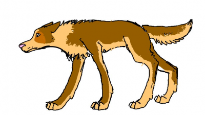 ch.png