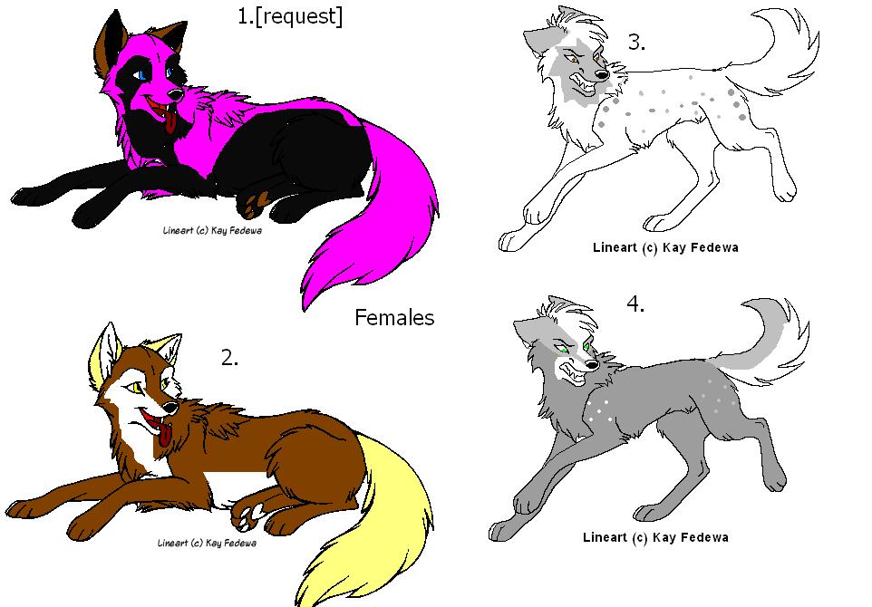 femal batch of adoption 1.JPG