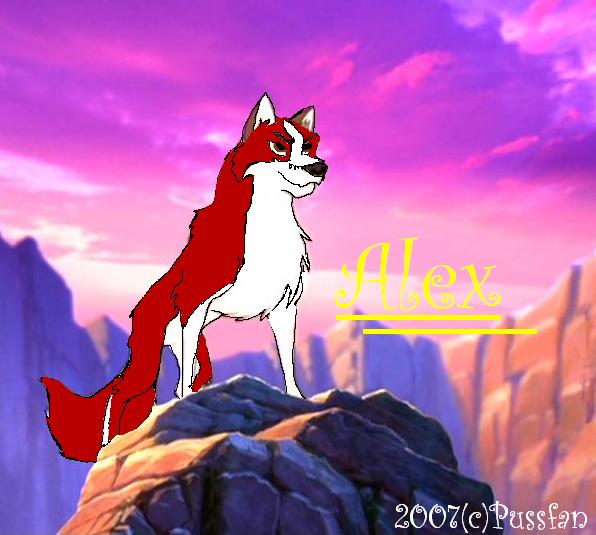 alex.JPG
