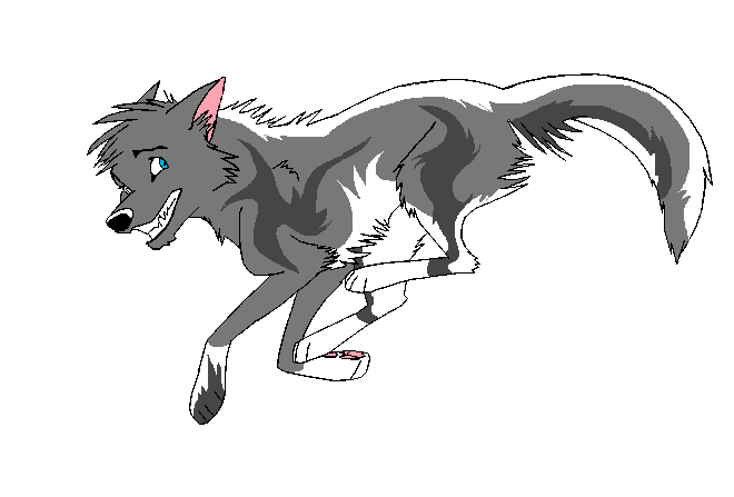 diego.png