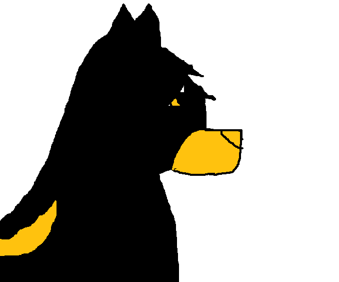 %0quin.png