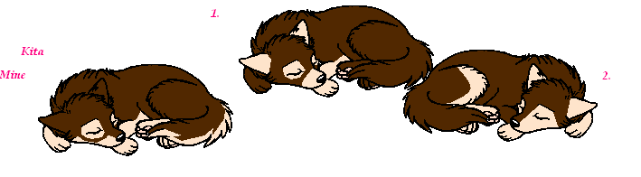 husky pups for adoption.PNG