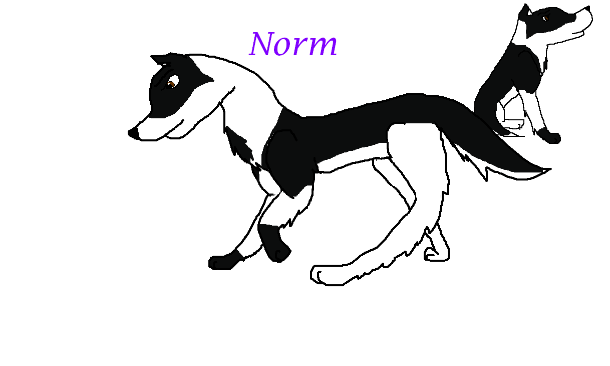 no.PNG