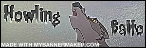 H.B advertise banner.jpeg