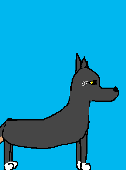 %10222233.png