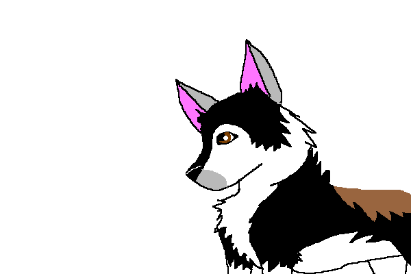 000k.PNG